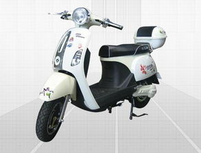 &ndash; 全球电动车网